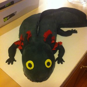 Axolotl Cake made for me by my amazing friend Christine!