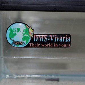 Good quality Terrariums! Highly recommend DMS Vivaria :)