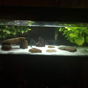 Their current tank...