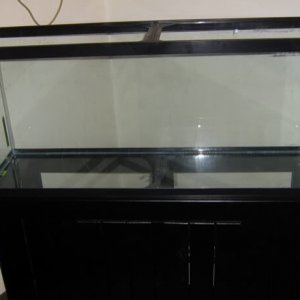 Empty, New 55 gal aquarium.  Make sure you clean the glass with 91% or high Rubbing alcohol or denatured alcohol before siliconing Anything to the gla