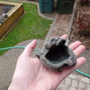 rock planter