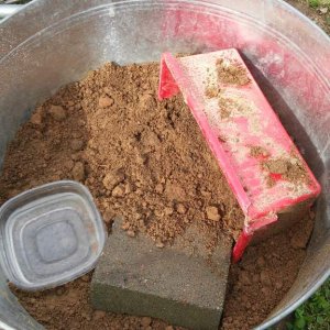 First temporary set up outside using the dirt he was found in. A plank of wood was used to cover the top of it so he wouldn't be expressed to too much