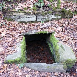 Fontaine Salamandres Locquenole