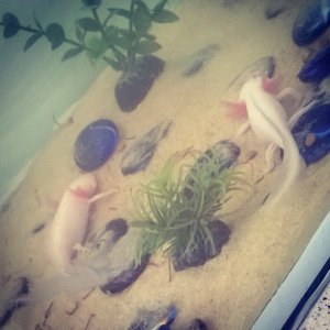 Max n G on their new sand <3