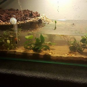 Tank in progress