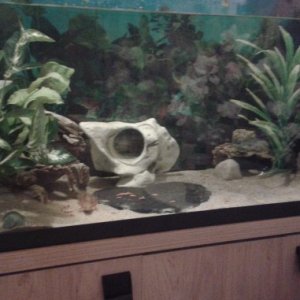 200 litre juvenile tank