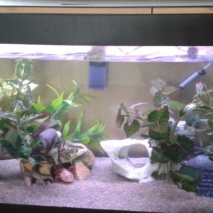 New 200 litre tank