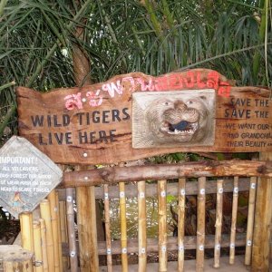 Good advice to be had here!  That small sign says "IMPORTANT!  All Villagers entering forest for wood please wear mask on back of head to scare tigers