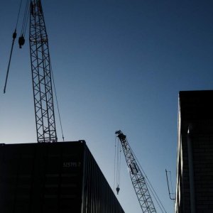 afternoon light - silhouette of crane