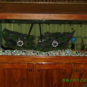 My 4ft 200L Axolotl tank setup with bio filter and dripper circulation system
Pirate Ship theme
a few Aquatic plants