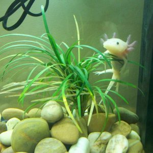 Playing in her plants