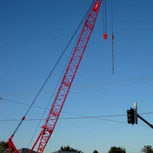 afternoon light - crane