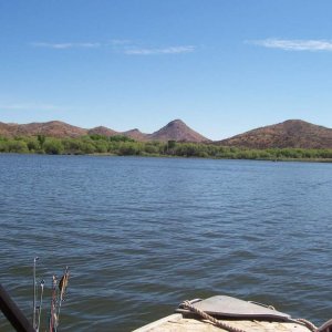 The east end of the lake where the creek enters.