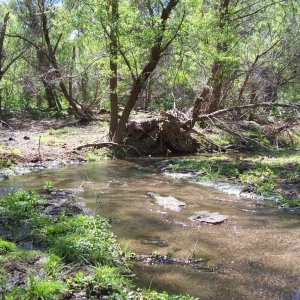 a pretty area of the stream