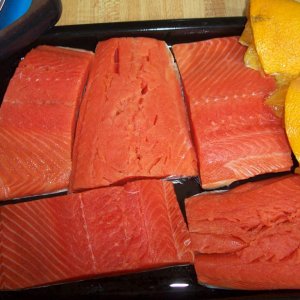 first step raw salmon with part of their ingredients