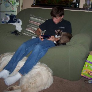 Bren w/psycho nermal, nintendo ds and lola under his legs