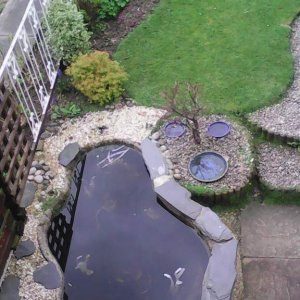 750 litre pond