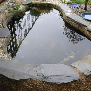 750 litres pond in garden.