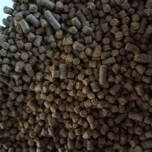 Axolotl pellets (rangen sinking salmon pellets)  forsale