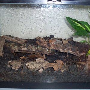 a. opacum tank