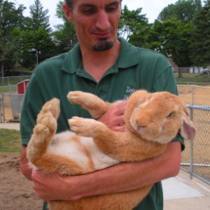 John, owner of Cheetoh, and Claude, the petite little bunny seen here.