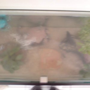 Top View of Tank