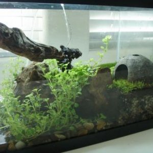 5 gallon PDF