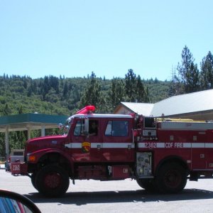 California Dept. of Forestry, Fire Crew. HOT!