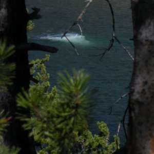 A geyser in the river.