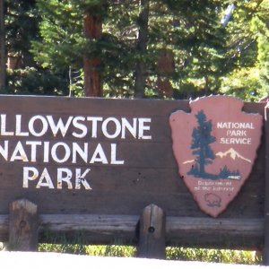 Yellowstone National Park. Not only the first, but the best!