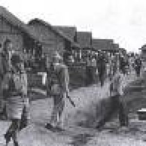 My Grandfather is the tall guy with curly hair in left side of pic.  He is pow here at Camp ODonnell and was later transferred to the notorious death 