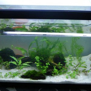 new tank 80 X 35 X 45cm    32 X 14 X 18 inch