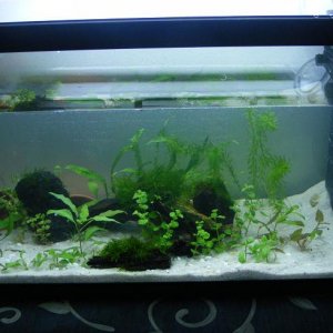 new tank 80 X 35 X 45cm    32 X 14 X 18 inch