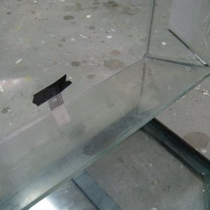 I put a thin object (razor blade) behind the the glass plate to leave a thin space. I did not want the glass plate flush against the back of the tank.