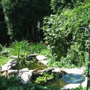 2 tier koi pond for summer months