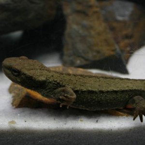 Male hanging around