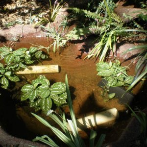 New pond set-up needs some work and a good clean out before anyone moves in