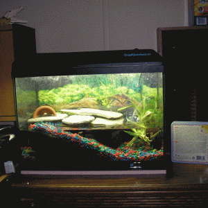 Newton's Pad. The setup has changed slightly since this picture was taken the "hut" is more in the middle, and a couple layers of the flat rocks have 