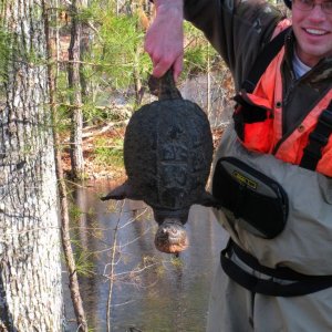 We found this girl swimming around under the ice. Water temp was about 3c that day.