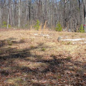 McLemore Cemetery, I'm told this is probably 2 rows of indian burials. There's a large Cherokee population in the area.