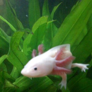 marilyn playing in the plants