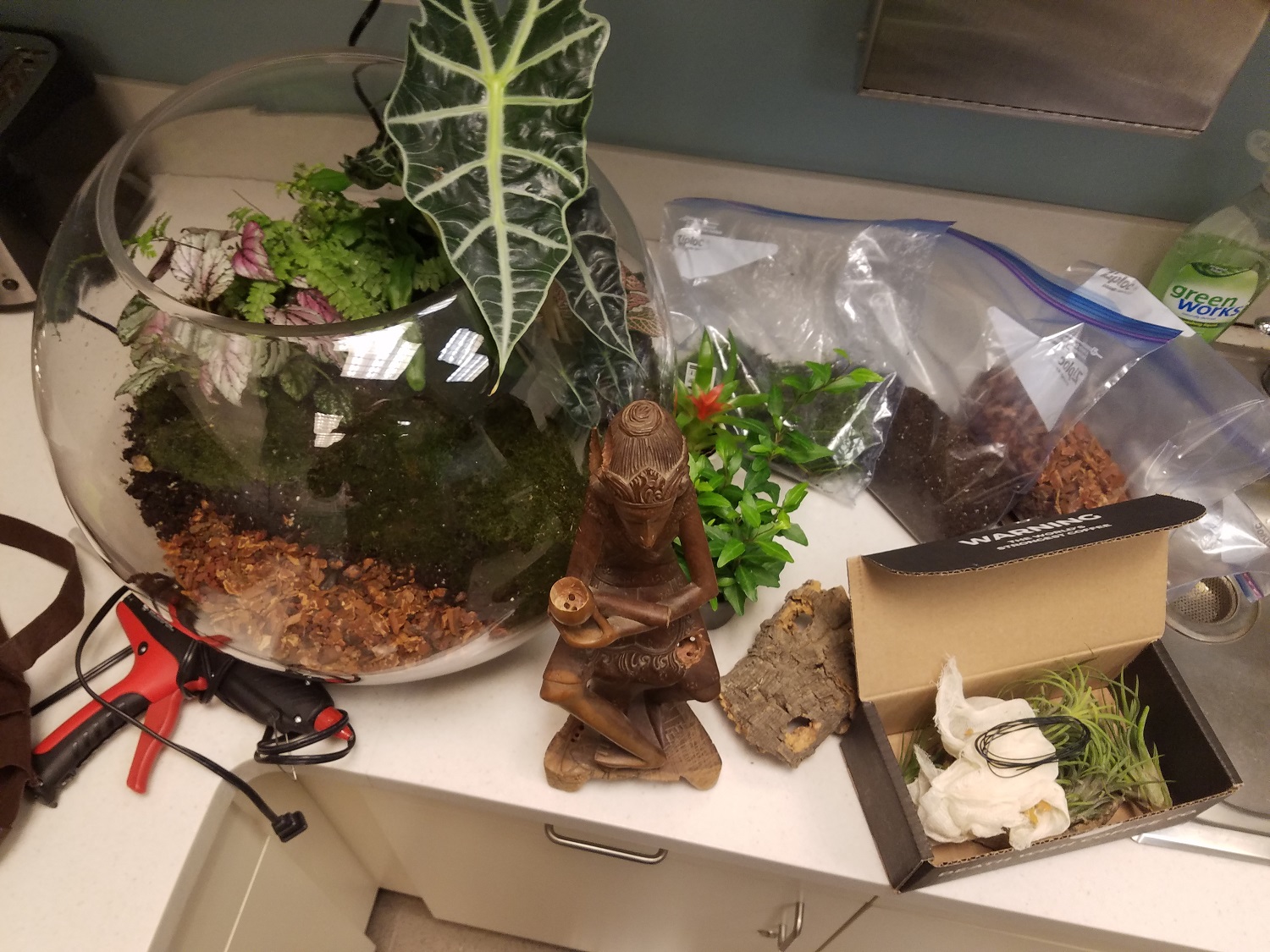 10: Raw materials: air plants (Tillandsia, Ionantha, etc.), small bromeliad, miniature ivy, chopped bark, crush coconut husk, sheet moss, concave cork