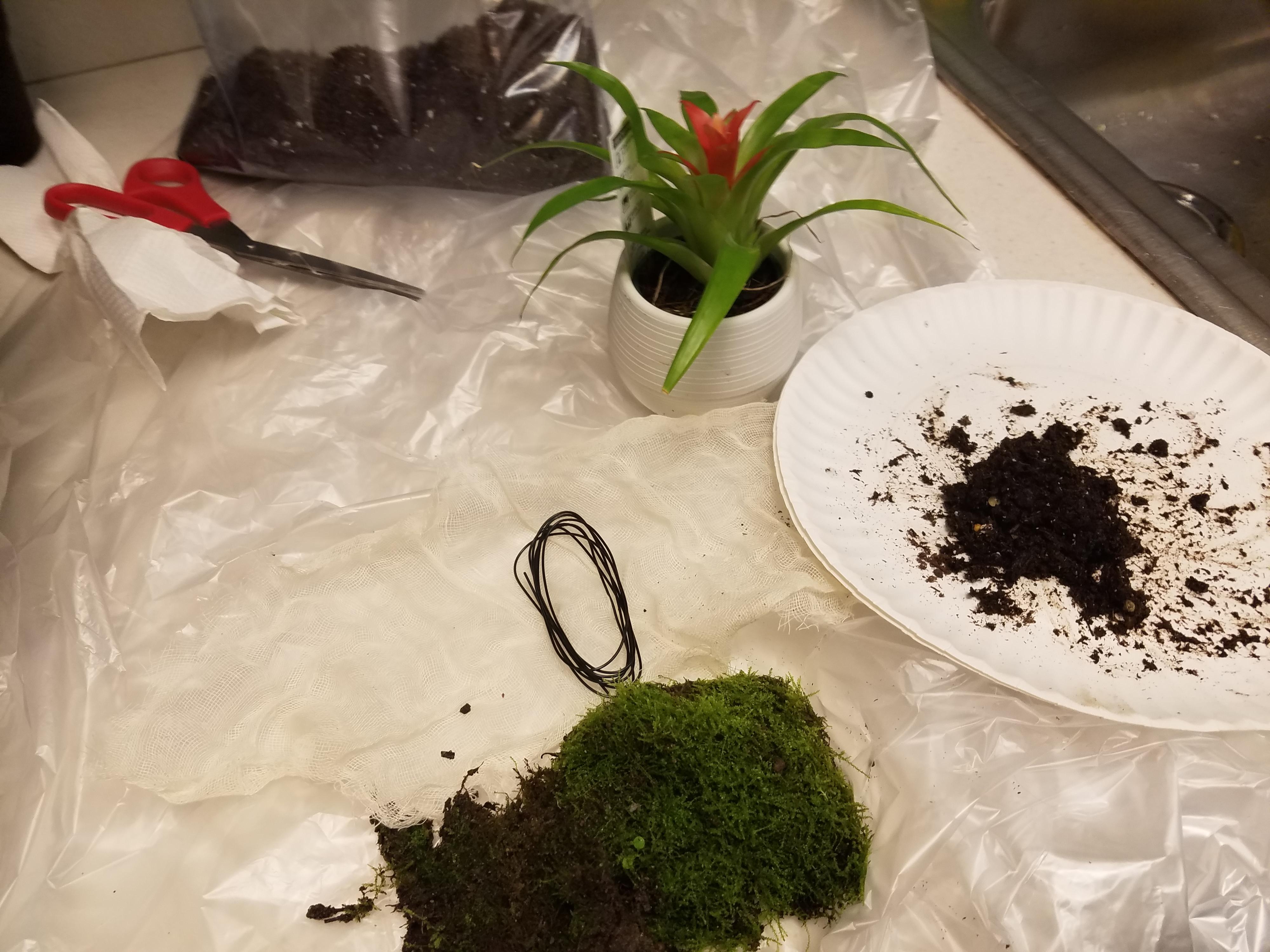 13: Cheese cloth, a small amount of damp potting soil, moss and bonsai are needed for the bromeliad bouquet.