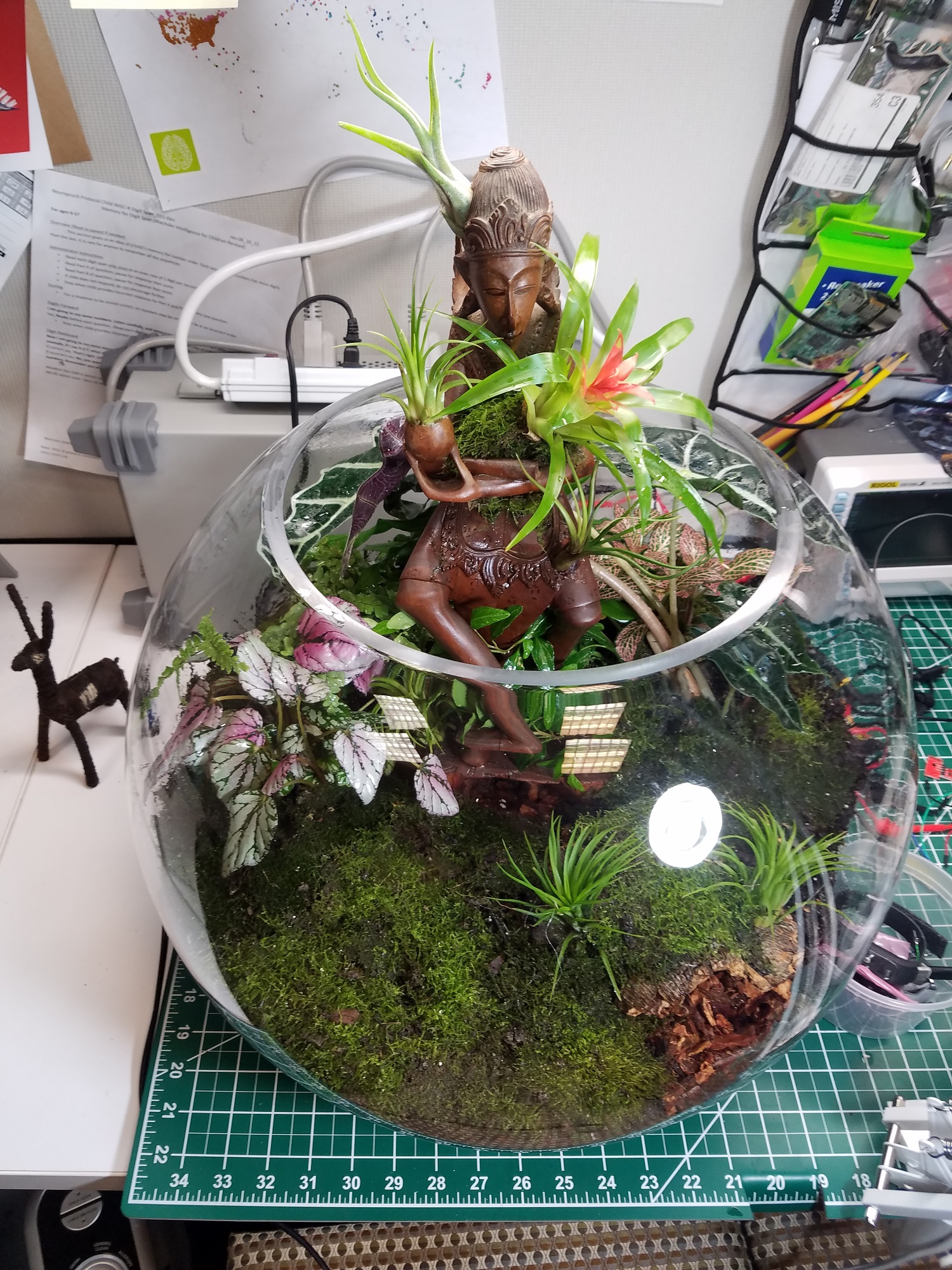 18: Statuette and cork bark tunnel are added to terrarium. Soil and moss are added between bark tunnel and embankment to connect them into a second la