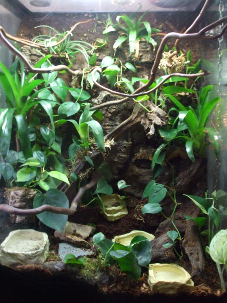 1st Vivarium