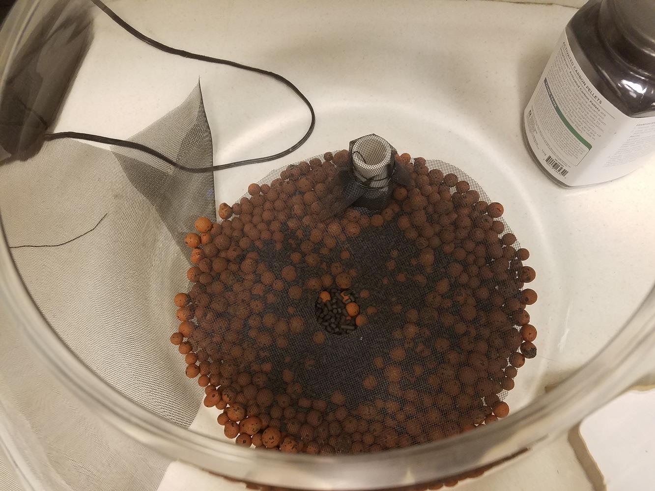 2: Bottom layer of clay balls (orchid media), activated charcoal and a PVC pipe sump. The sump lets you flush out the terrarium if it needs to be clea