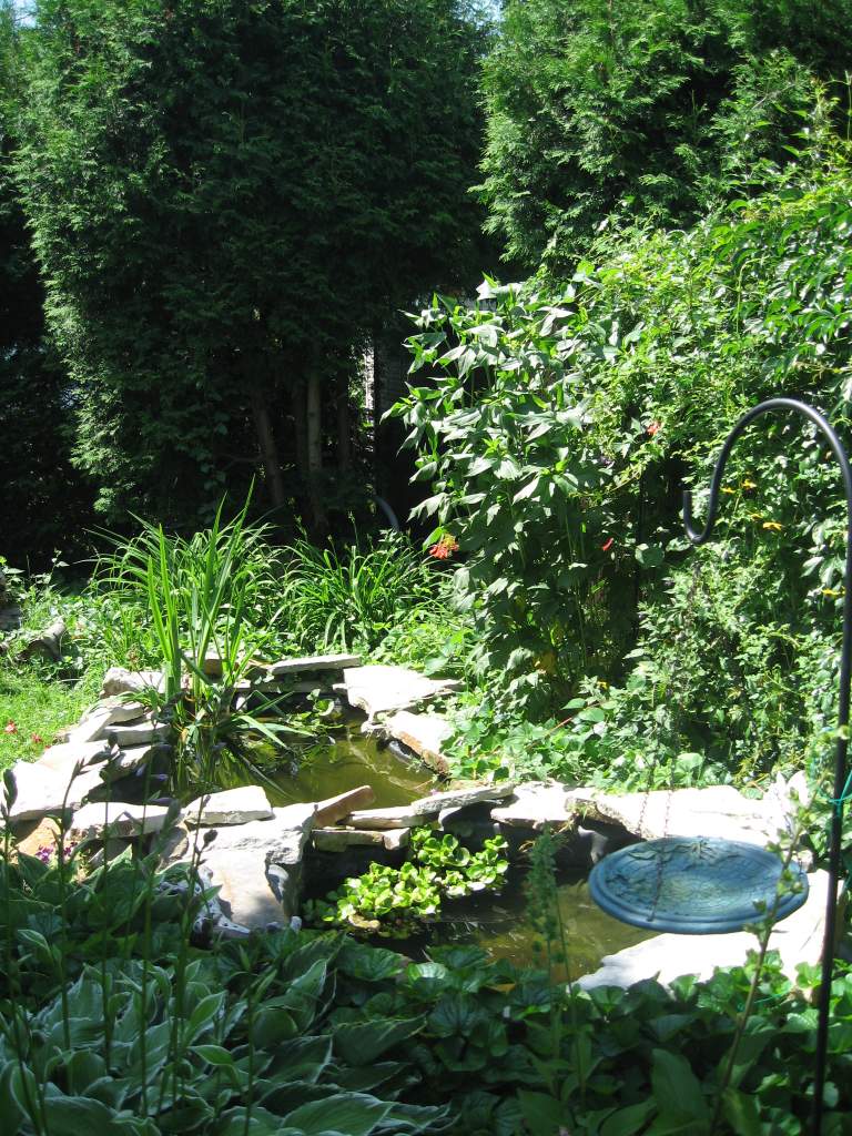 2 tier koi pond for summer months