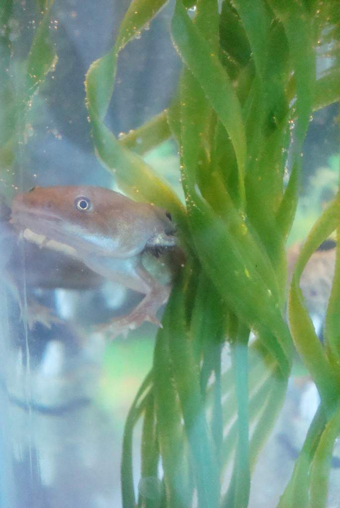 <3 Muffin in the plant