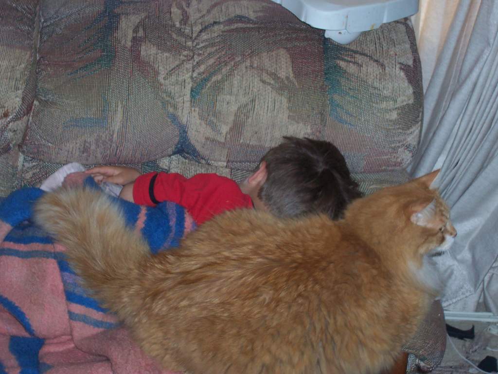 37lb cat sleeping with 6 yr old child