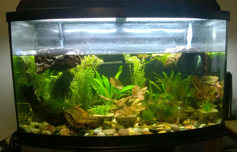 46gal wide